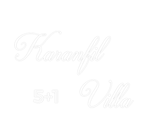 villa planı