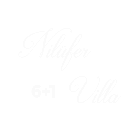 villa planı