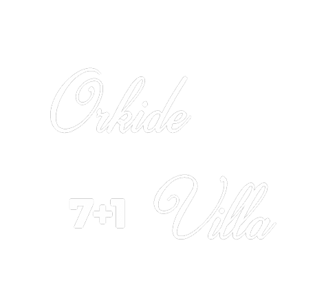 villa planı